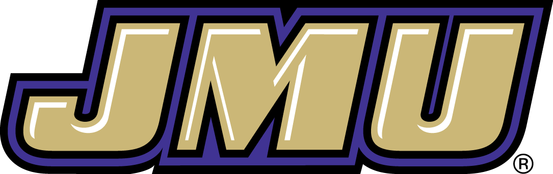 James Madison Dukes 2013-2016 Wordmark Logo v2 diy DTF decal sticker